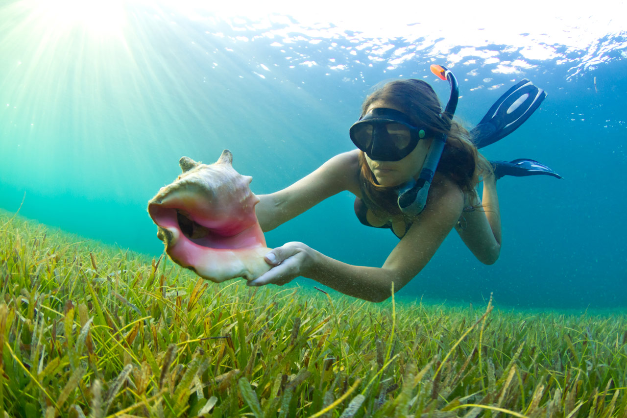 Guided snorkeling excursion Florida Keys reef private island departure Marathon