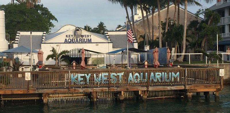 KEY WEST AQUARIUM