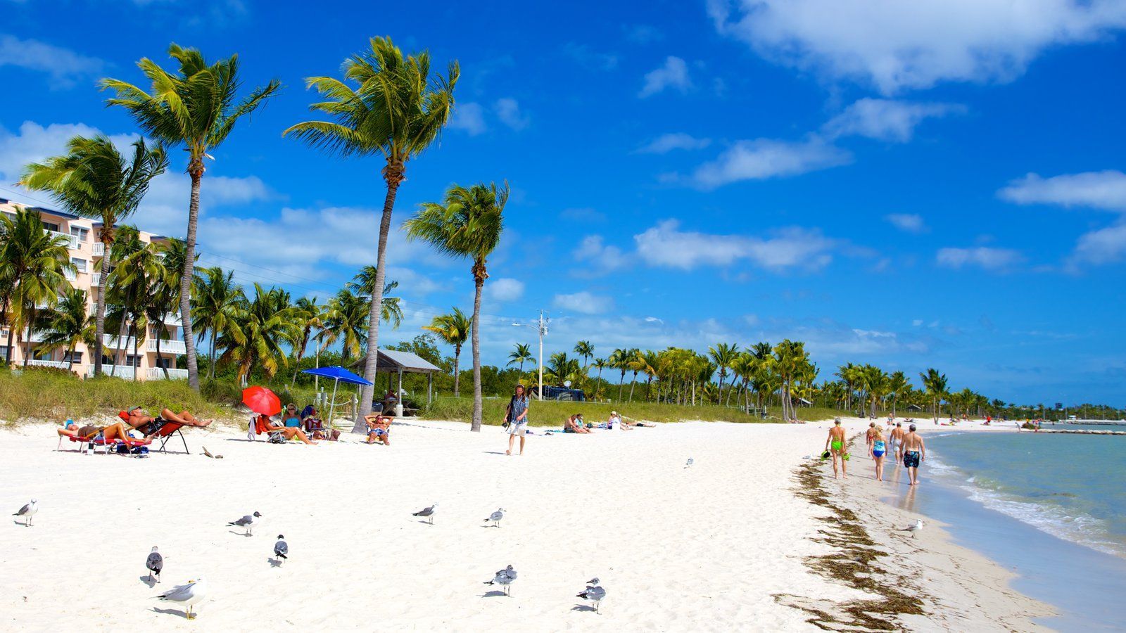 SMATHERS BEACH